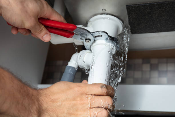 Best Water damage restoration near me  in Scottville, MI
