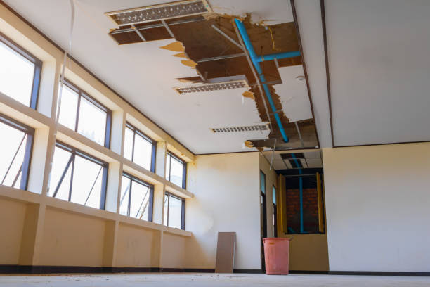 Best Ceiling water damage repair  in Scottville, MI