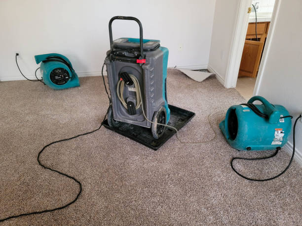 Best Commercial water damage restoration  in Scottville, MI