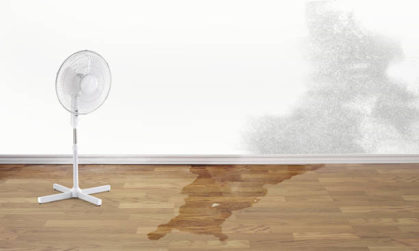 Best Sewage cleanup and water damage restoration  in Scottville, MI