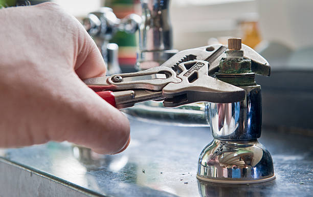 Best Mold removal after water damage  in Scottville, MI