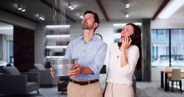 Best Mold removal after water damage  in Scottville, MI